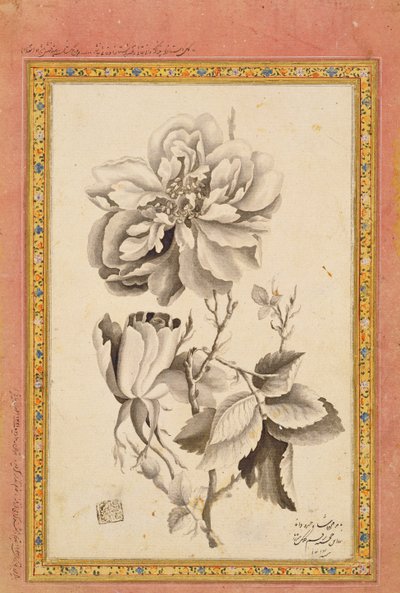 Rose, 1799-1800 by Mirza Baba